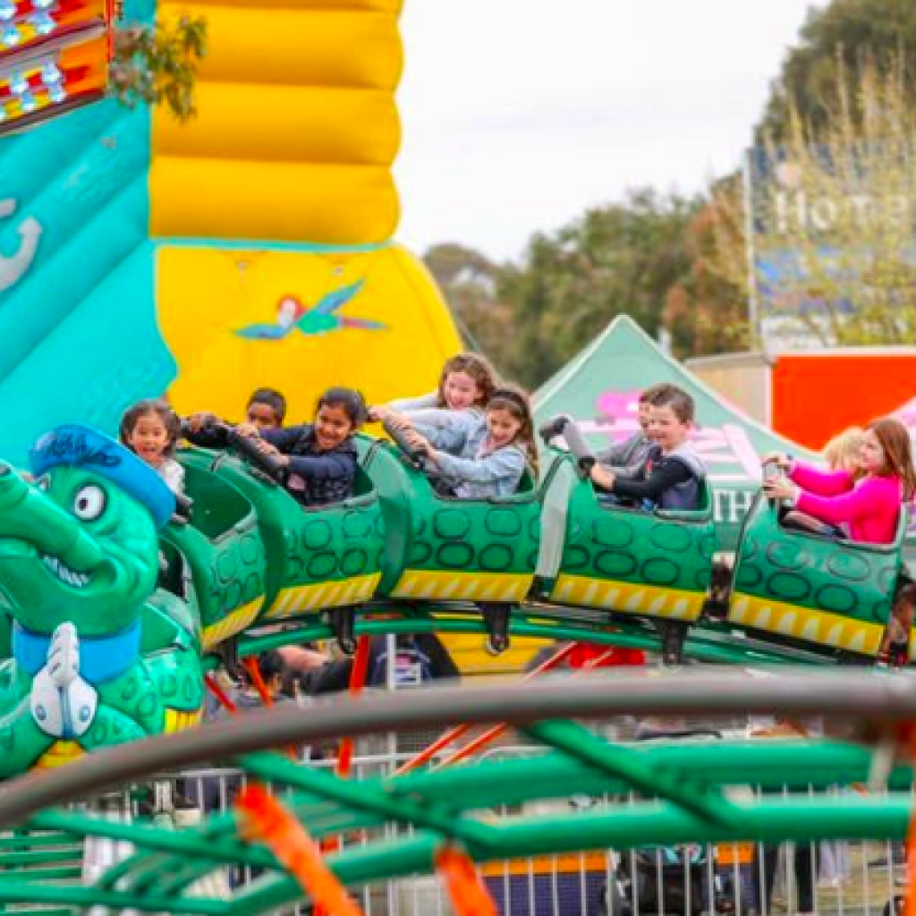 GO-GATOR
