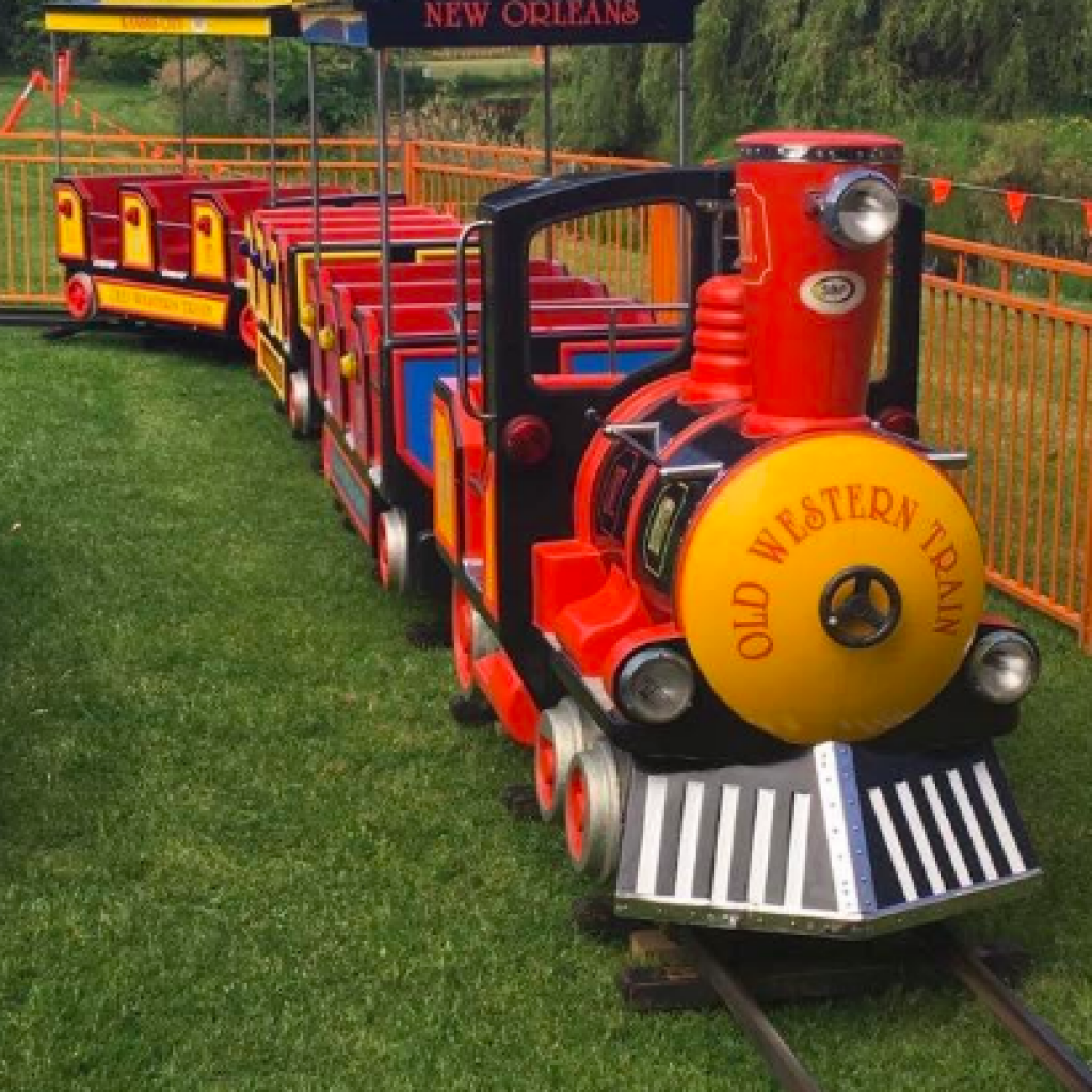 THE TRAIN